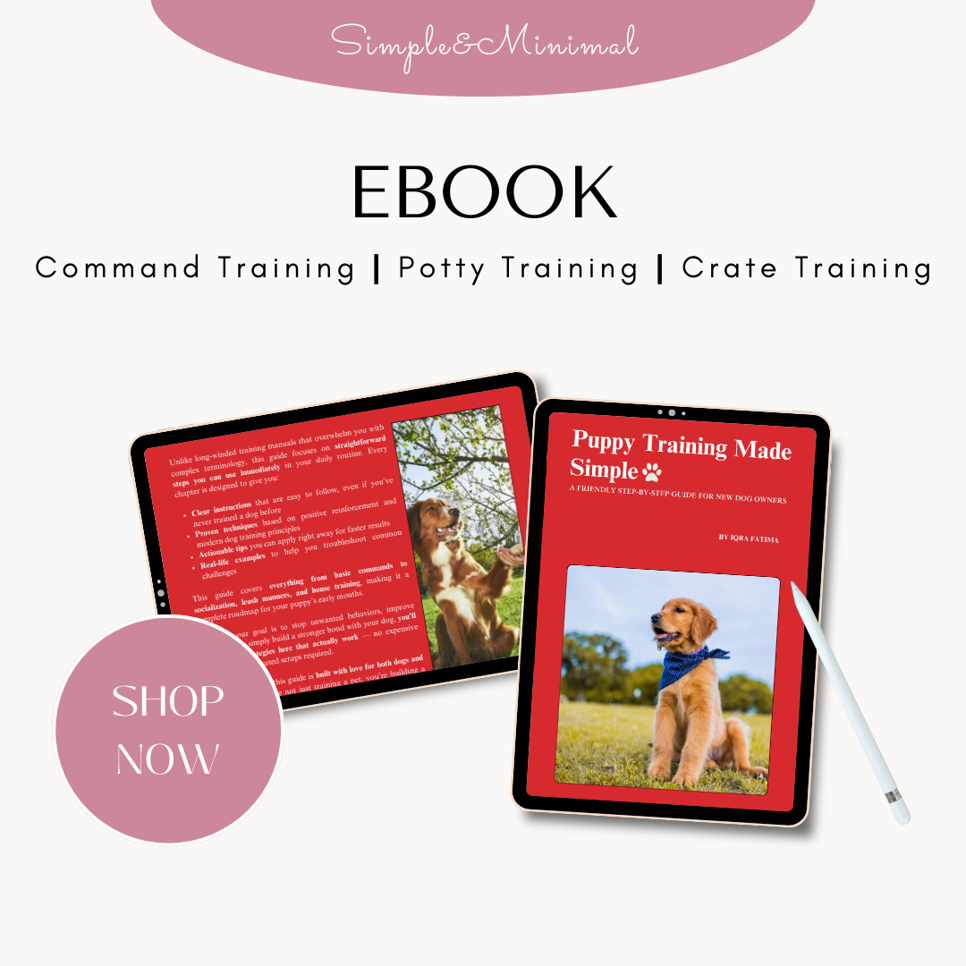 Puppy Training Made Simple – Train with Confidence & Ease